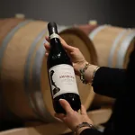 Hotel Castrum Wine Relais - Diffuso *