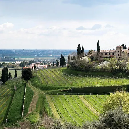 Castrum Wine Relais - Diffuso