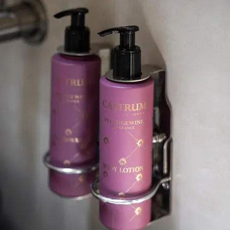 Castrum Wine Relais Hotel San Pietro in Cariano