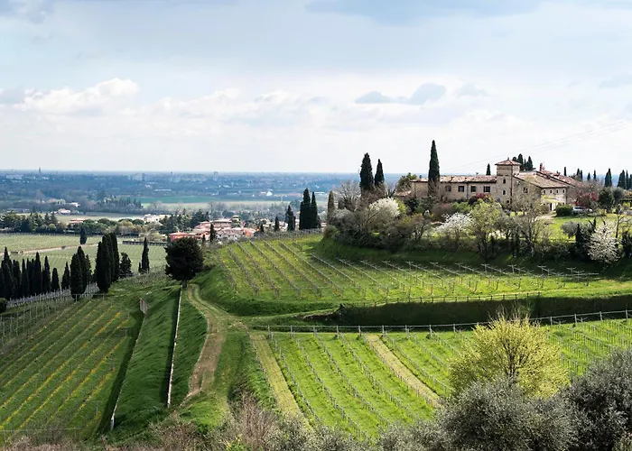 Castrum Wine Relais - Diffuso