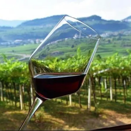 Hotel Castrum Wine Relais San Pietro in Cariano